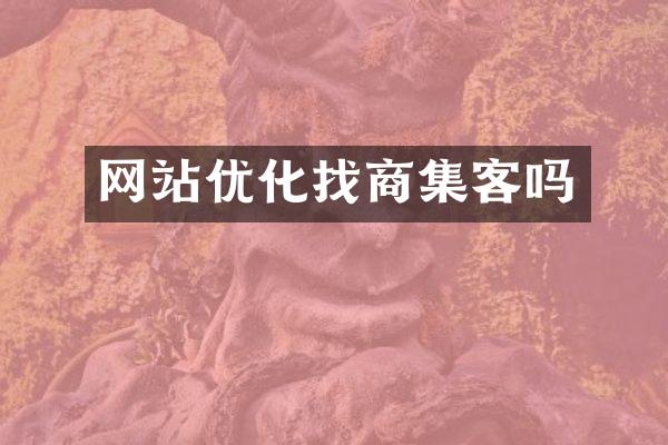 网站优化找商集客吗