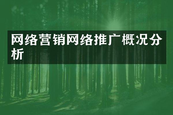网络营销网络推广概况分析