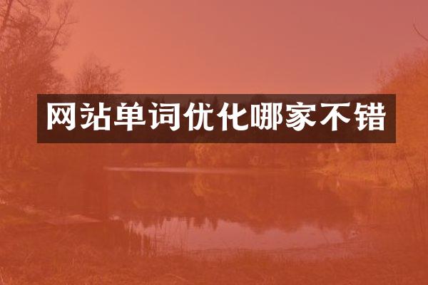 网站单词优化哪家不错