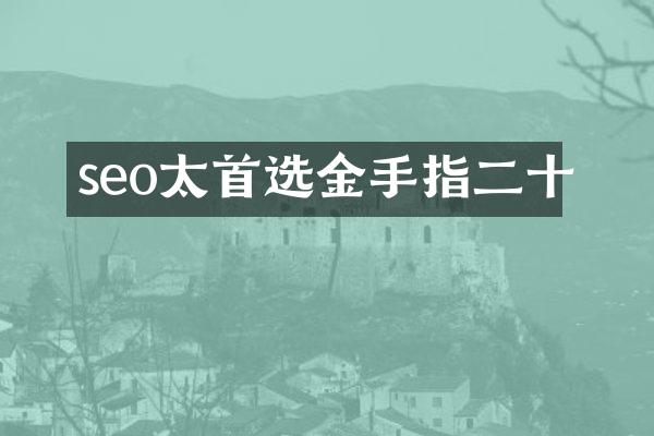seo太首选金手指二十