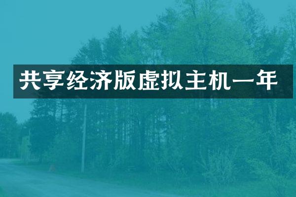 共享经济版虚拟主机一年