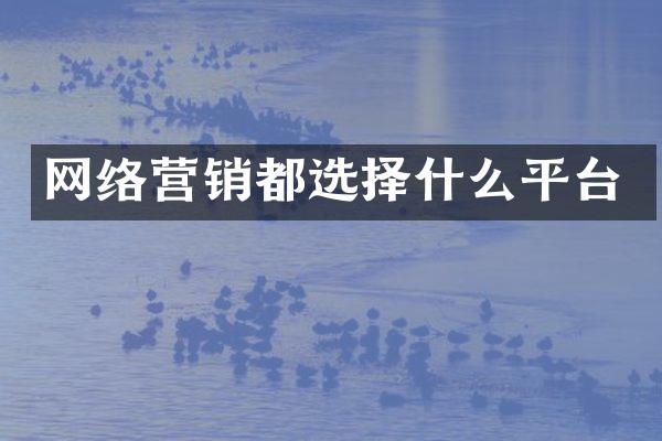 网络营销都选择什么平台