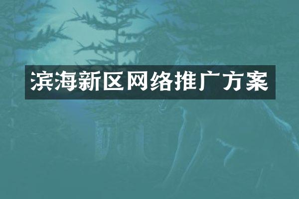 滨海新区网络推广方案
