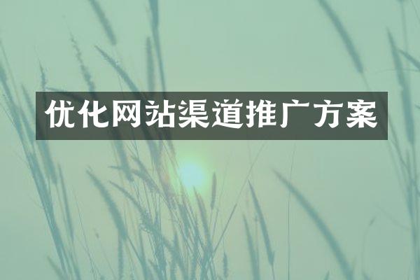 优化网站渠道推广方案