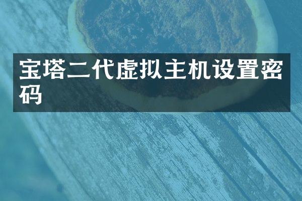 宝塔二代虚拟主机设置密码