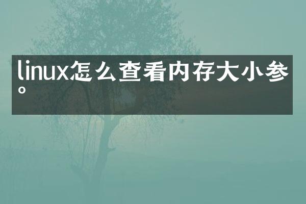 linux怎么查看内存大小参数