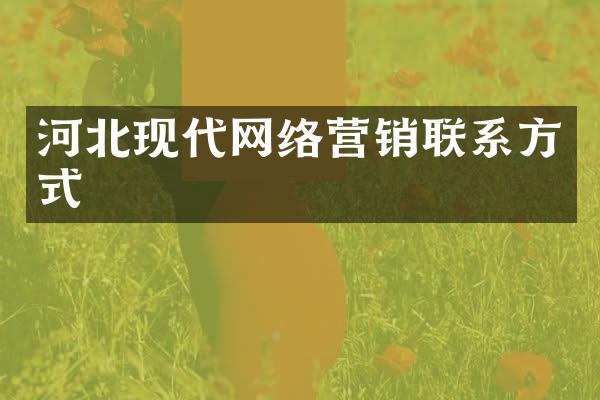 河北现代网络营销联系方式