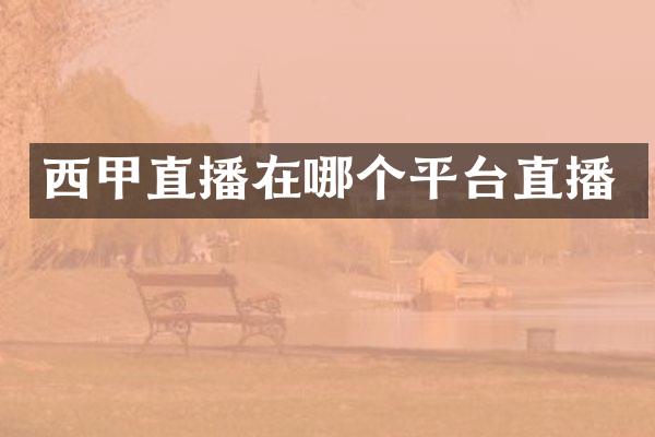 西甲直播在哪个平台直播