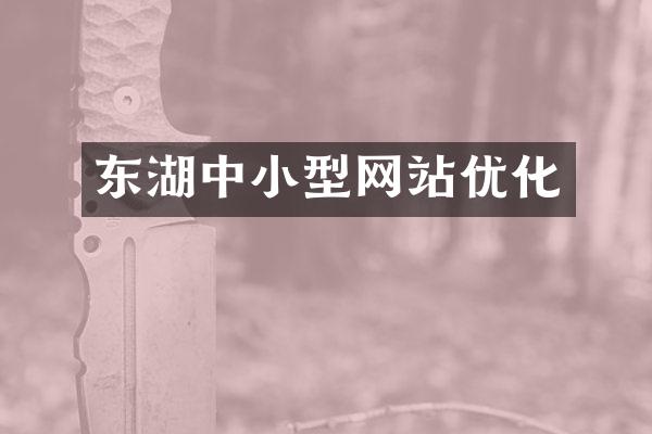 东湖中小型网站优化