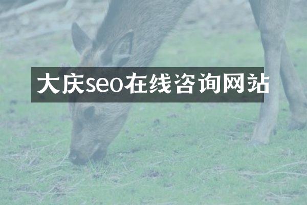 大庆seo在线咨询网站