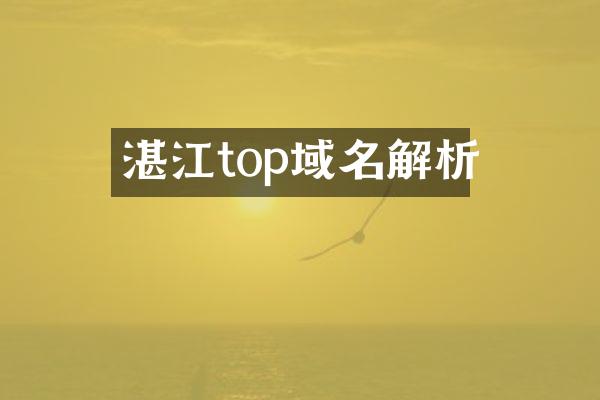 湛江top域名解析