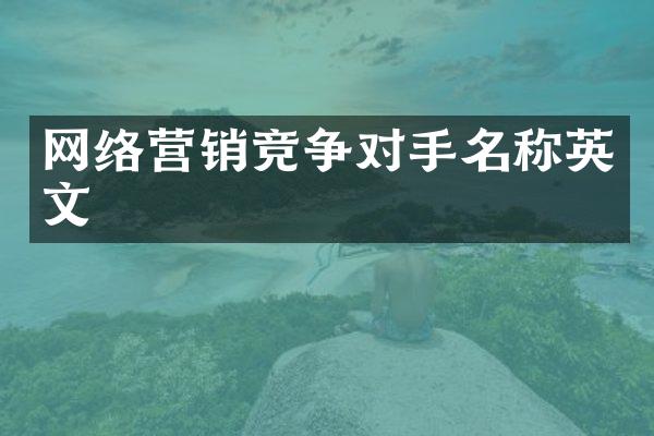 网络营销竞争对手名称英文