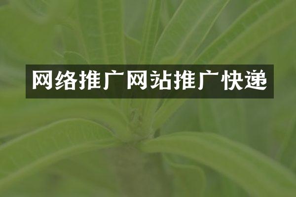 网络推广网站推广快递