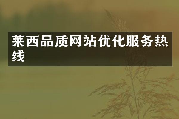莱西品质网站优化服务热线