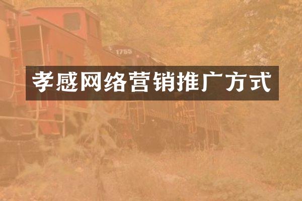 孝感网络营销推广方式