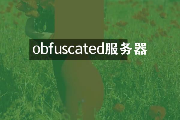 obfuscated服务器