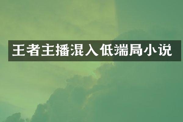 王者主播混入低端局小说