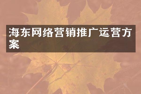 海东网络营销推广运营方案
