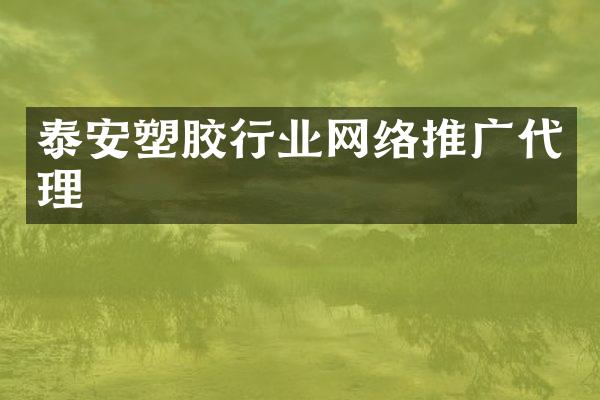 泰安塑胶行业网络推广代理