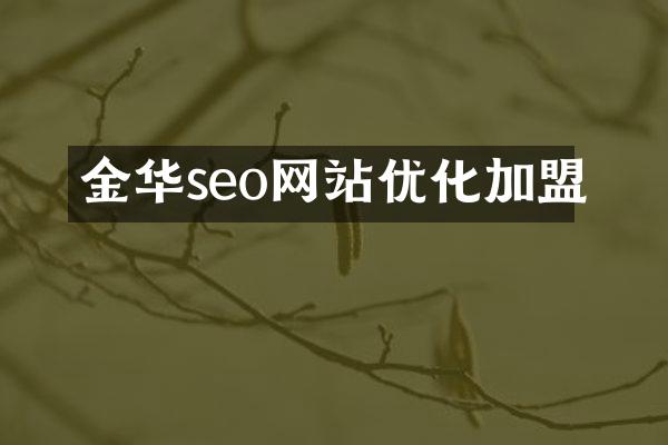 金华seo网站优化加盟