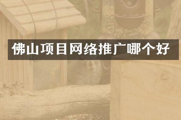 佛山项目网络推广哪个好