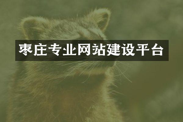 枣庄专业网站建设平台