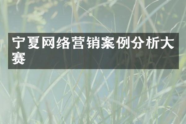 宁夏网络营销案例分析大赛