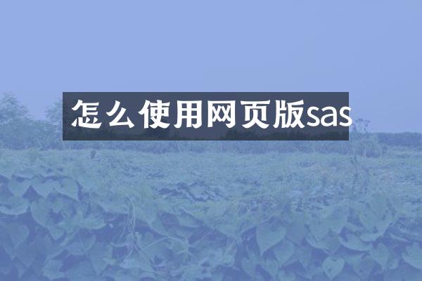 怎么使用网页版sas