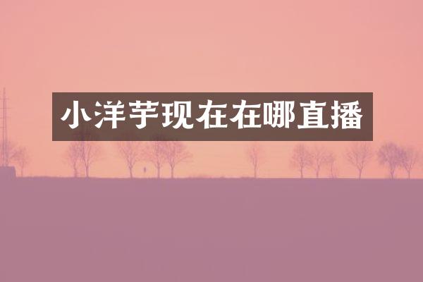 小洋芋现在在哪直播
