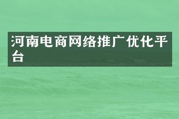 河南电商网络推广优化平台
