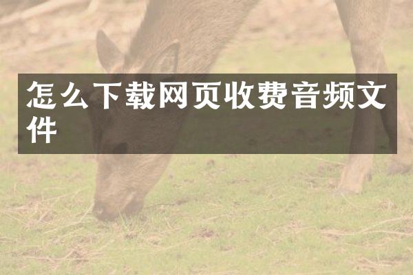 怎么下载网页收费音频文件
