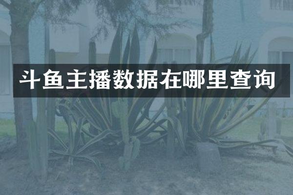 斗鱼主播数据在哪里查询