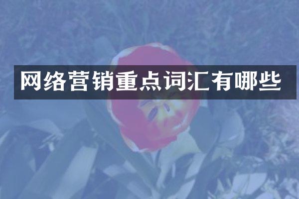 网络营销重点词汇有哪些
