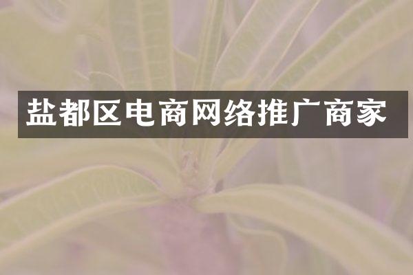 盐都区电商网络推广商家