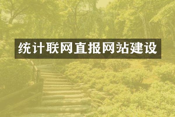 统计联网直报网站建设