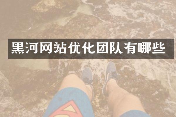 黑河网站优化团队有哪些