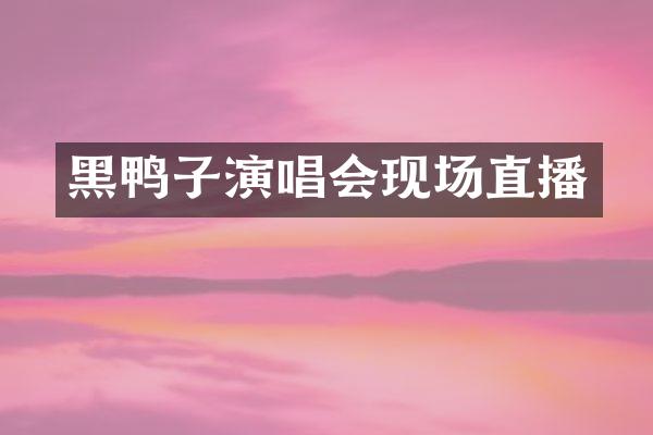 黑鸭子演唱会现场直播