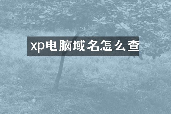 xp电脑域名怎么查