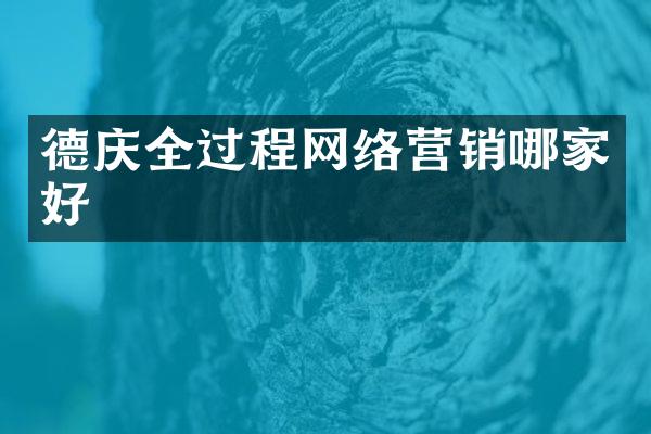 德庆全过程网络营销哪家好