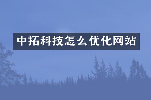 中拓科技怎么优化网站