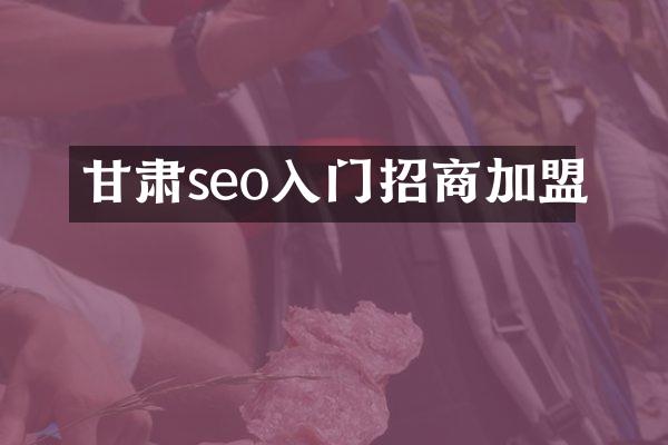 甘肃seo入门招商加盟