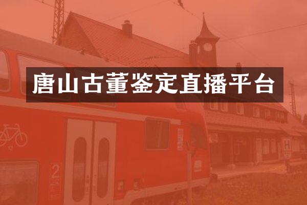 唐山古董鉴定直播平台