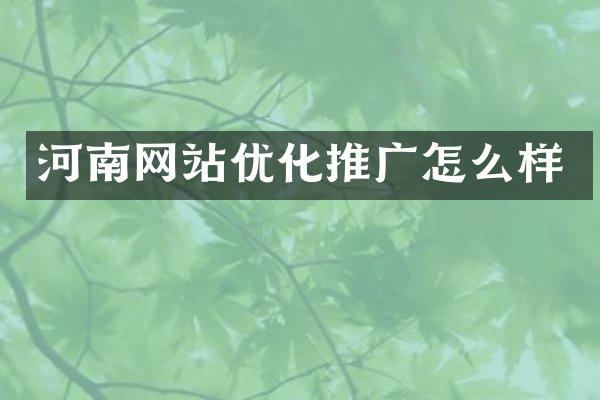 河南网站优化推广怎么样