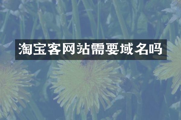 淘宝客网站需要域名吗