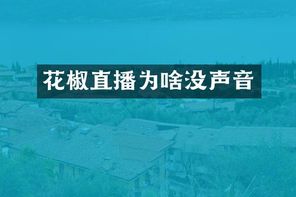 花椒直播为啥没声音