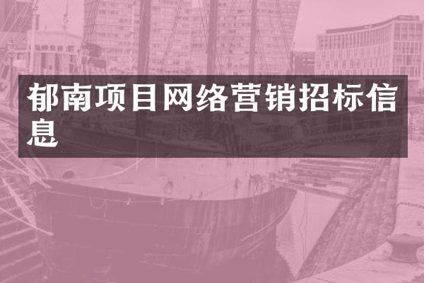 郁南项目网络营销招标信息