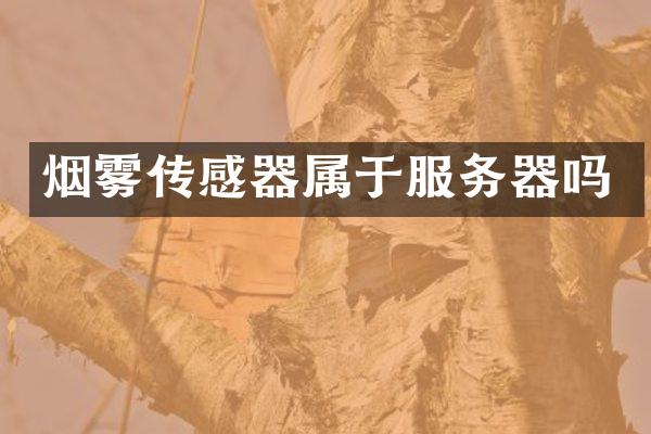 烟雾传感器属于服务器吗