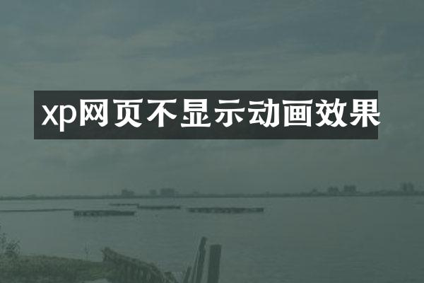 xp网页不显示动画效果