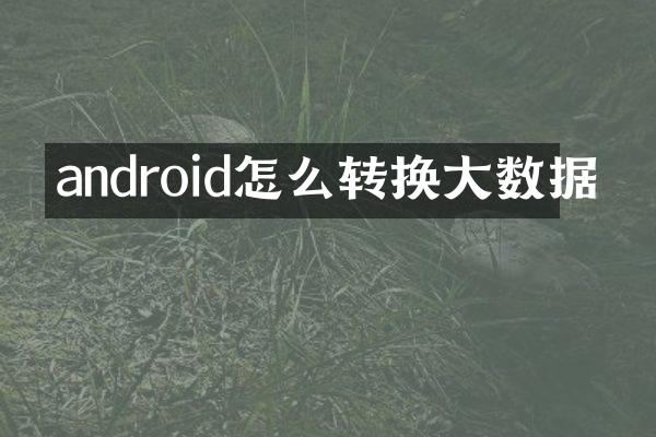 android怎么转换大数据