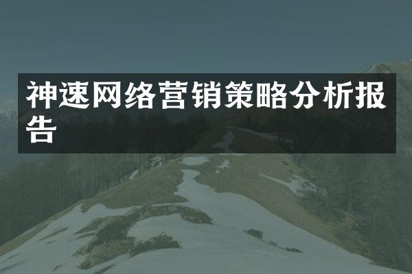 神速网络营销策略分析报告